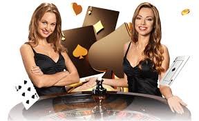 55 slot bet